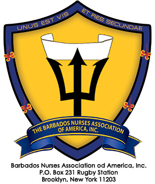 BNAA_Logo